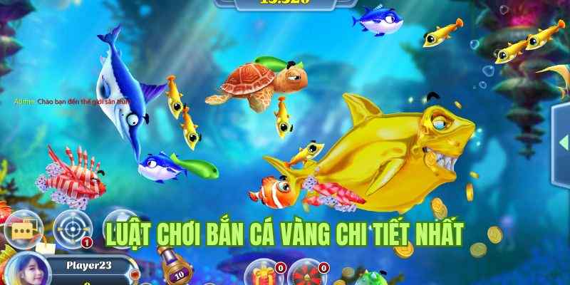 Bắn Cá Vàng - Siêu Phẩm Cuốn Hút Đáng Thử Nhất Tại Five88 2 Chia sẻ chi tiết cách chơi game bắn cá Vàng cho người mới